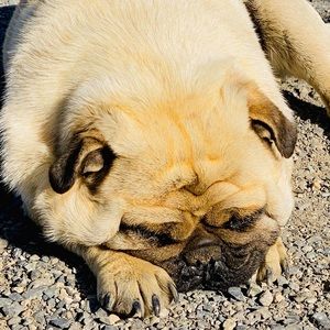 Meet your Posher, Maria